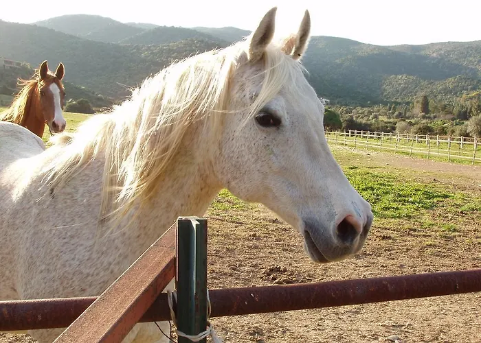 Sa Tiria 度假居 奇亚